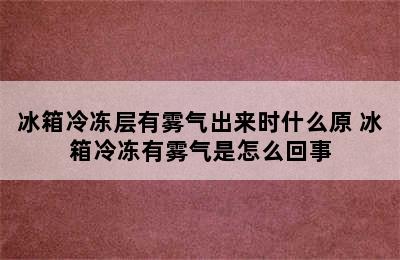 冰箱冷冻层有雾气出来时什么原 冰箱冷冻有雾气是怎么回事